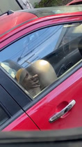 Lo mato en el increíble coche