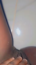 Pajera haitiana