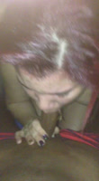 Piirroja roja