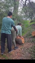 Potona en el bosque